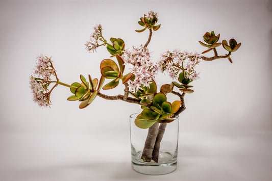 ikebana fleurs comment faire ?