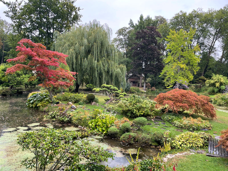 Visiter des jardins japonais à Paris et dans la région