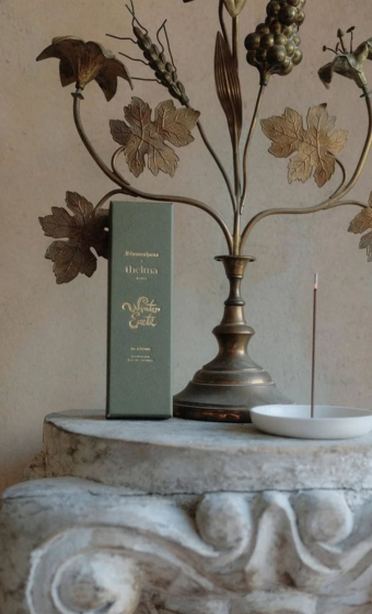 WINTER EARTH - Boite de 48 bâtons d'encens